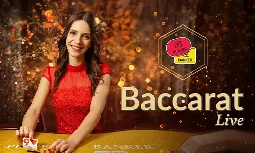 Daily Free Spins